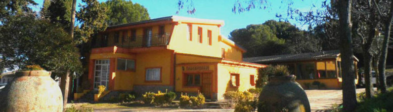 ashram-san-martin-de-valdeiglesias-vivir-en-el-tao-795x227