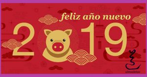 happy new year, 2019, Chinese new year greetings, Year of the pig , fortune, (Translation: Happy new year/ rich / pig )